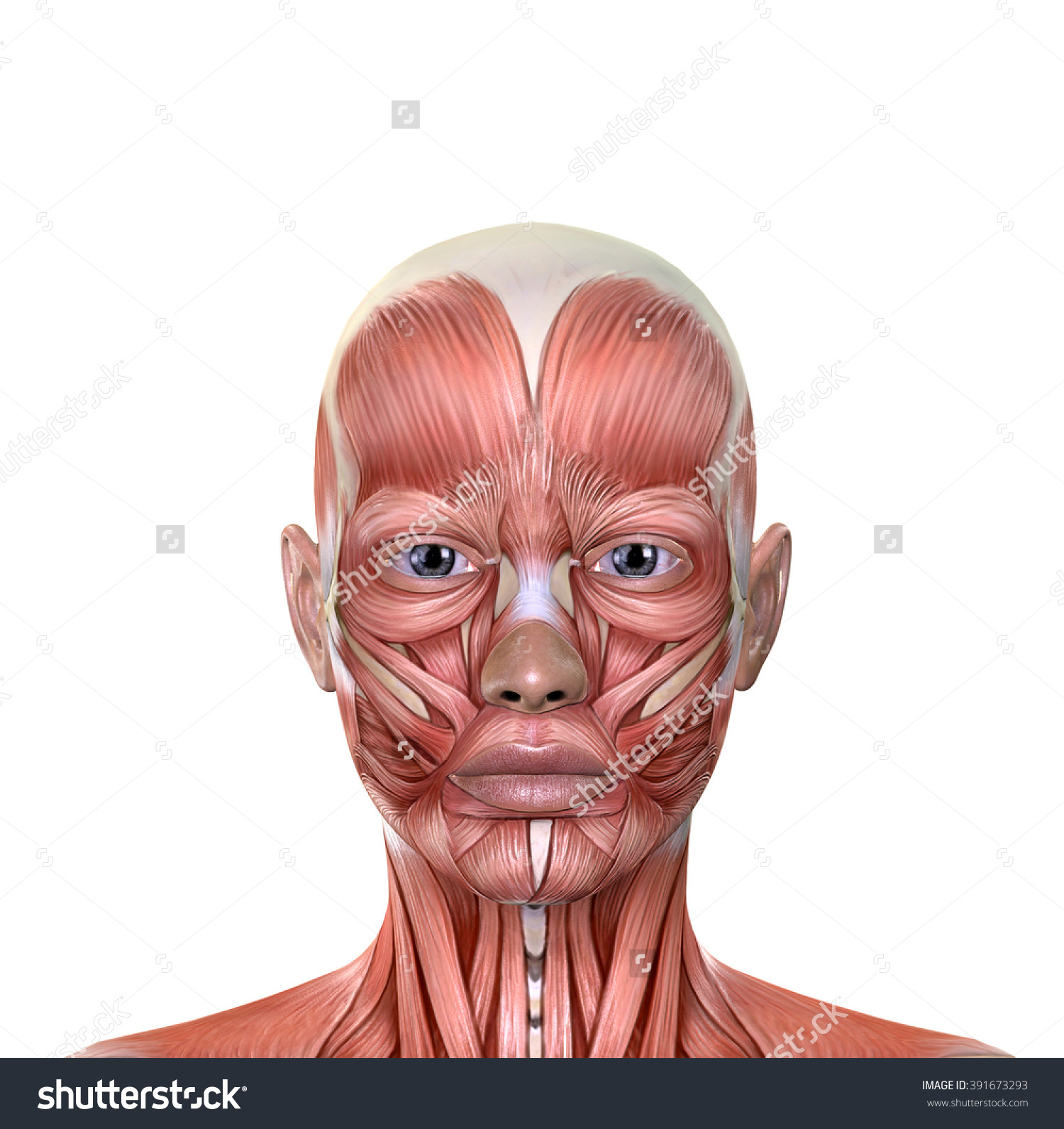 FACIAL PALSY & Physiotherapy Treatmemt : - Mobile Physiotherapy Clinic