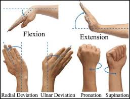 Wrist Movement