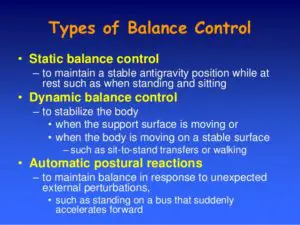 Type Of Balance And Exercise