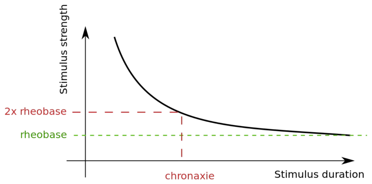 Chronaxie graph