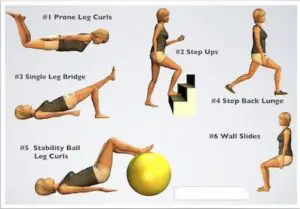 Knee Joint Exercise