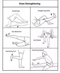 knee exercise
