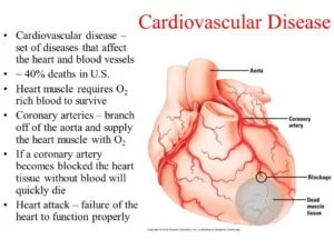 Cardio-Vascular Disease