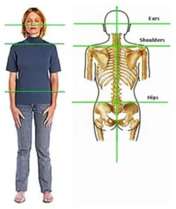 Normal posture