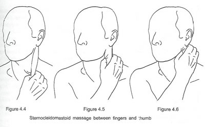 Sternocleidomastoid Massage Detail
