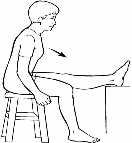 Sitting hamstring stretch using a chair
