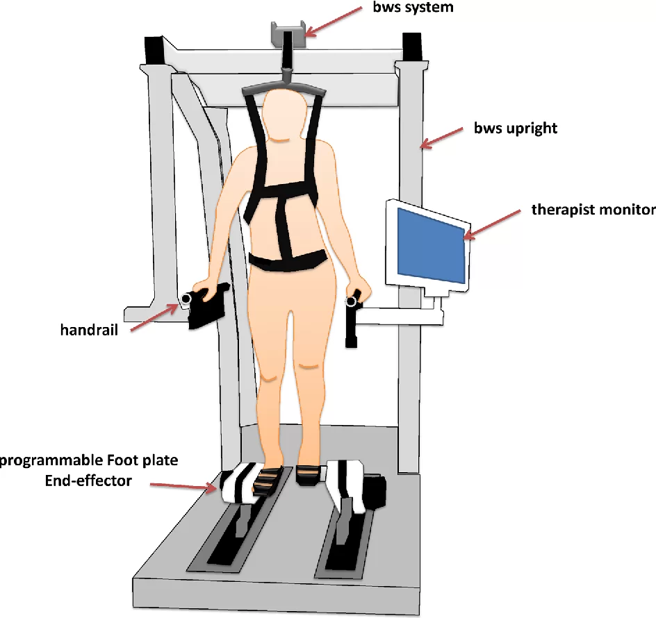 Electromechenical assisted gait training