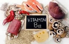 Food sources of Vitamin B 12