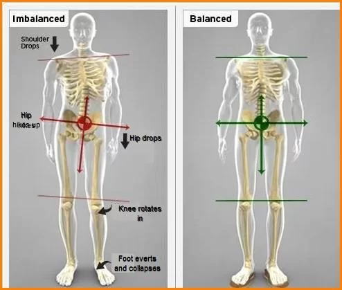 pelvic floor muscle and nerve damage females left side bending hip rotation  - Google Search #Backpain