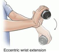 wrist extensors exercise