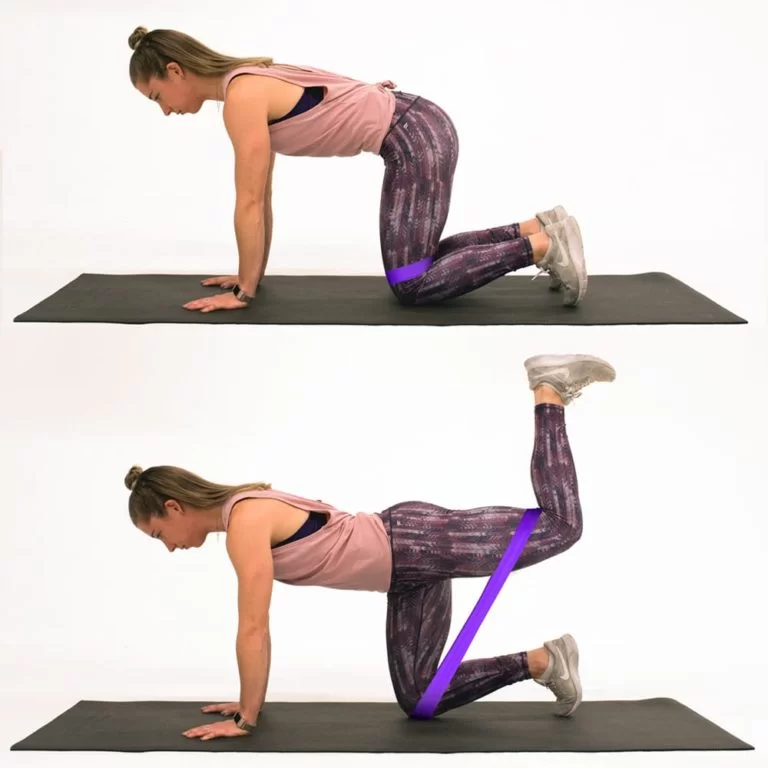 hip extension in a quadruped