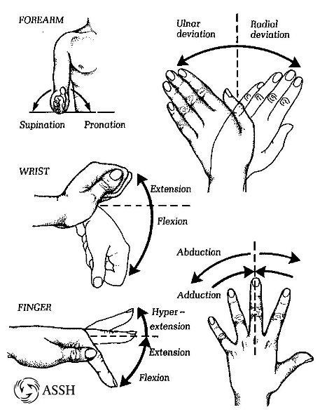 ACTIVE RANGE OF MOTION EXERCISE