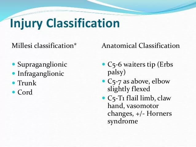 Millesi classification of brachial plexus injury