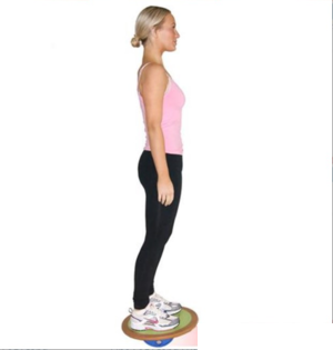 wobble board balance exercise
