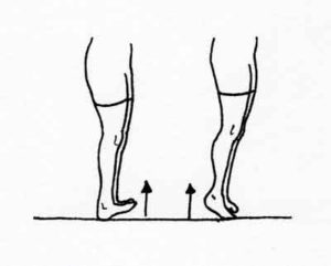 heel - toe raise exercise