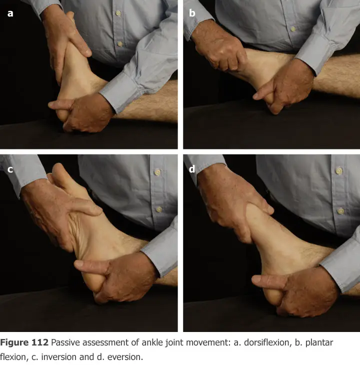 passive movements in the ankle