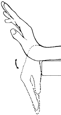 Wrist Extension Stretch 