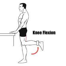 Standing Knee flexion exercise
