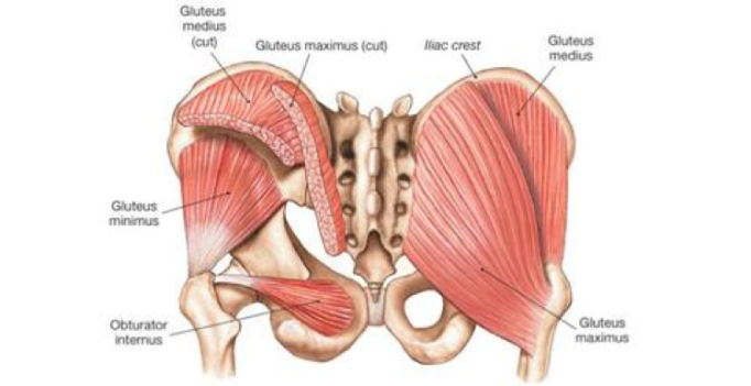 gluteus medius tendinopathy stretches