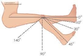 Knee Joint Range of Motion