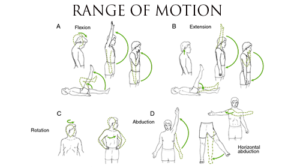 Range of Motion (ROM) - Mobile Physiotherapy Clinic