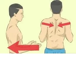 Trapezius muscle function