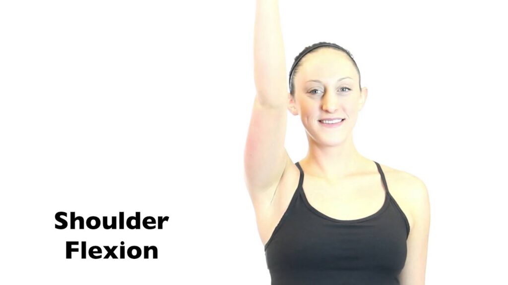 Vertical Shoulder Flexion