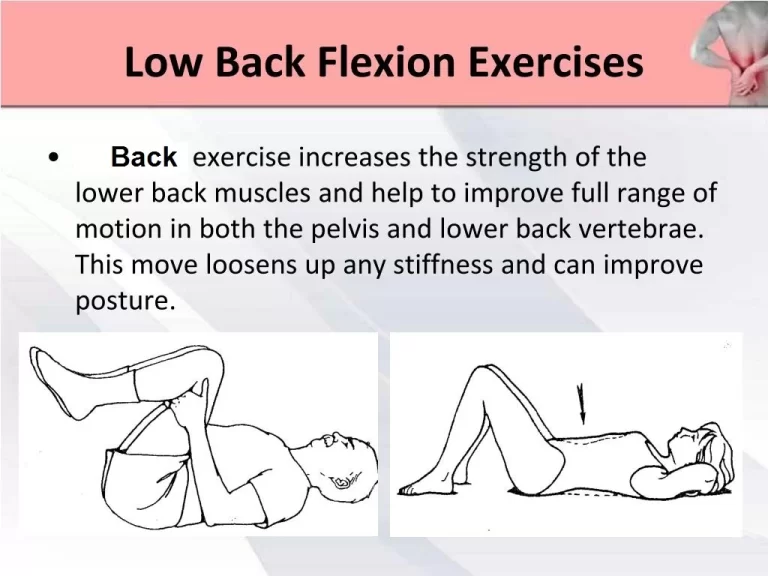 Low Back Flexion Exercise ( William’s Flexion Exercise)