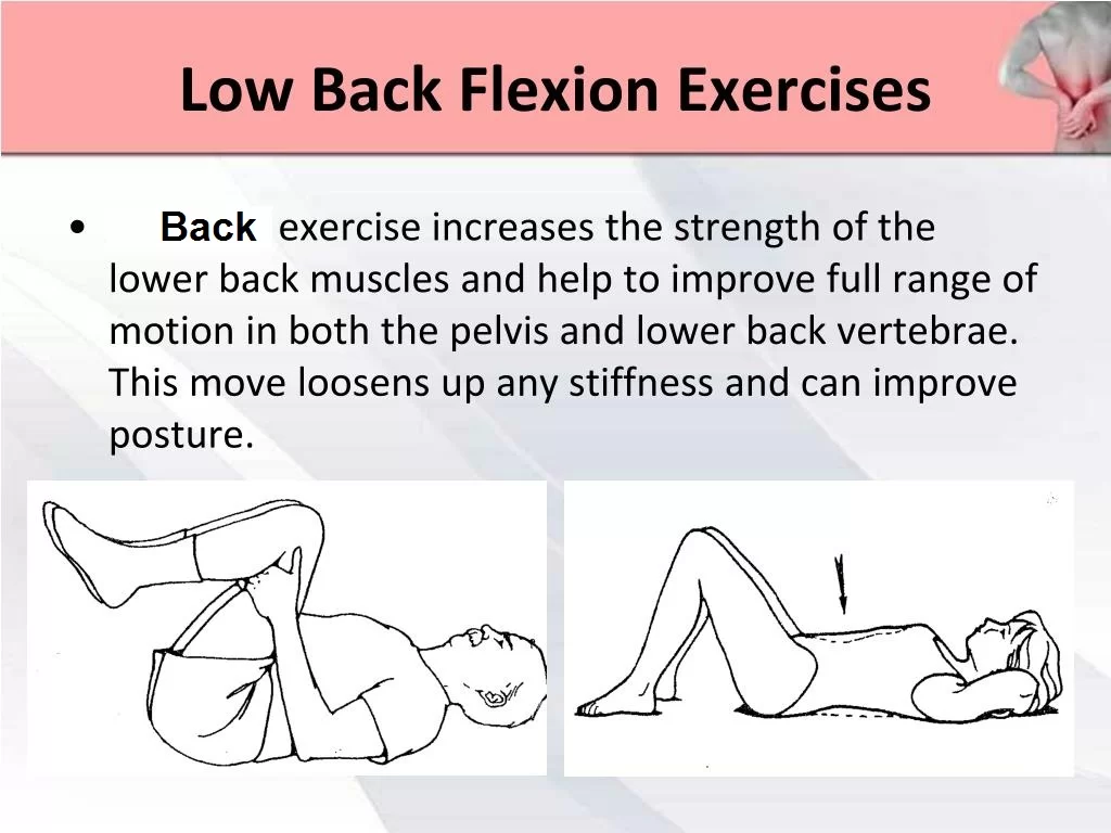 Low Back Flexion Exercise
