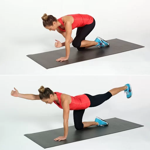 https://mobilephysiotherapyclinic.in/wp-content/uploads/2021/07/Quadruped-Position-Bird-Dog-Exercise.webp