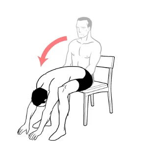 Seated Trunk flexion