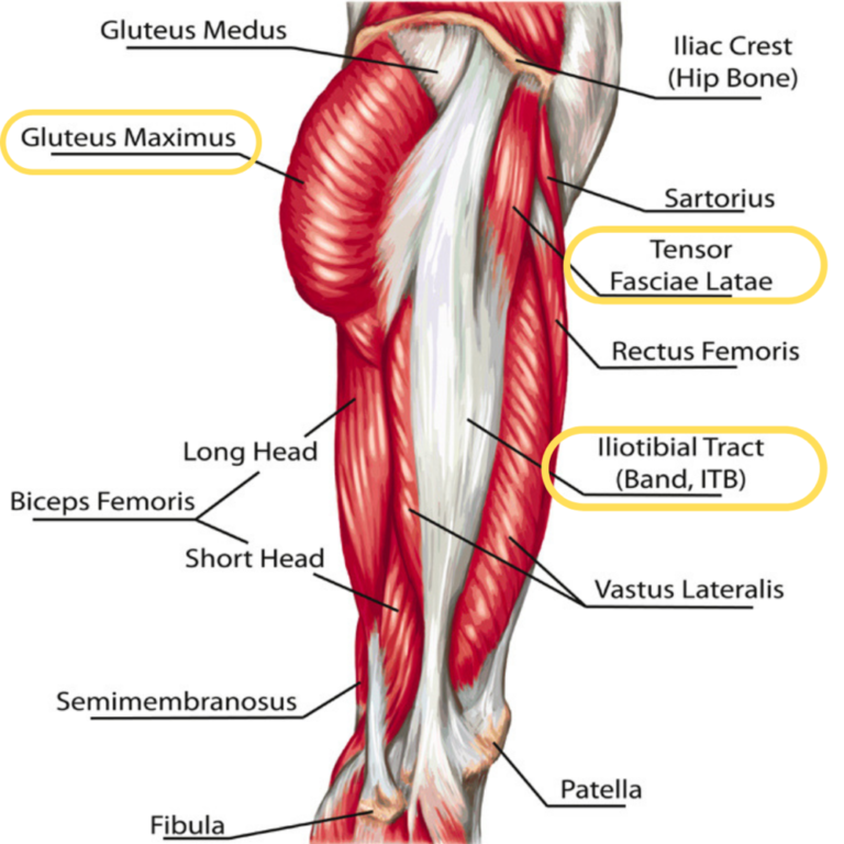 Iliotibial band syndrome (ITBS) : Physiotherapy Treatment, Exercise