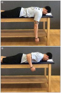 Prone Rows Exercise