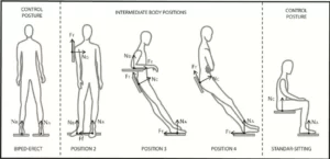Spontaneous body posture