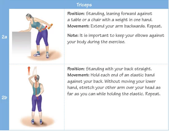 TRICEPS EXERCISE
