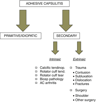 Classification of the adhesive capsulitis