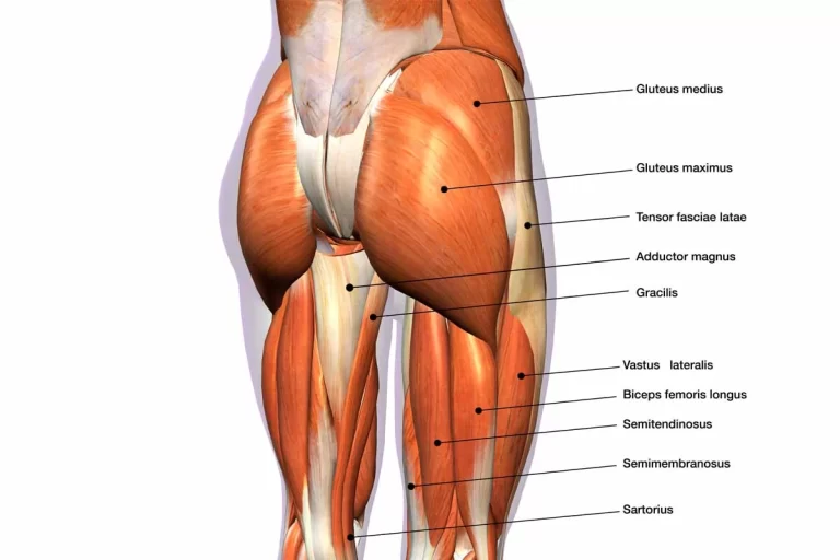 What Causes Tight Gluteal Muscles?