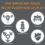 Pelvic Floor Exercises : For Men, Women With Images, Exercise Benefits