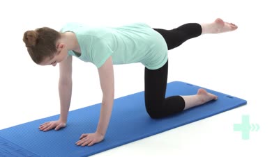 Kneeling leg lift with back stretch