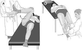 A special test of impingement of the hip :