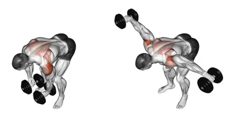 Standing Bent-Over With Dumbbells