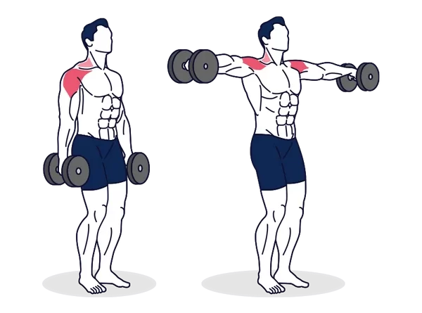 Exercise For Deltoid Health Benefits Variations And How To Do Mobile Physio 