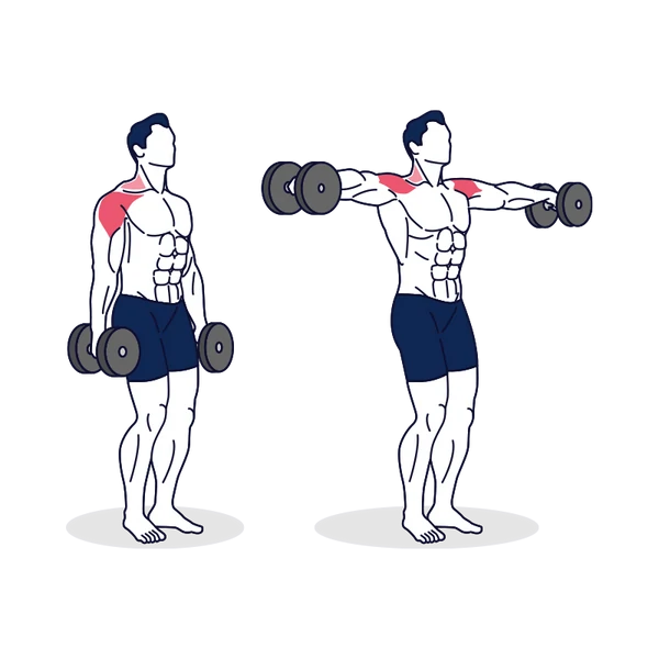 Lateral raise Exercise