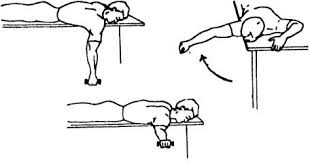 Scapular stabilization exercises: Health Benefits, Variations, How to do?