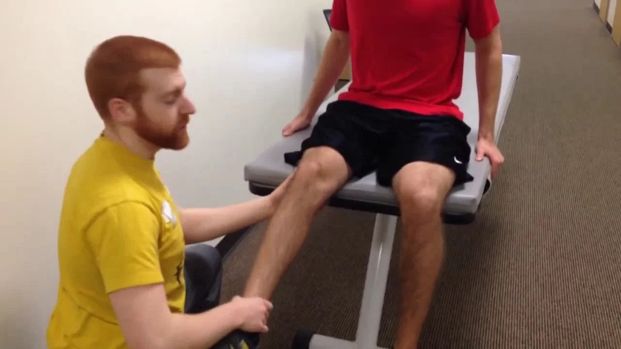 special test of the hamstrings tightness