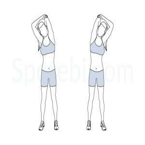 Triceps  overhead stretching