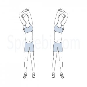Triceps stretching