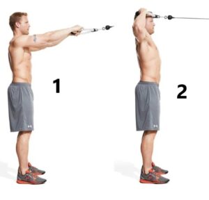 face pulls exercise