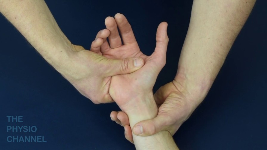 Pivot shift test of the mid carpal joint