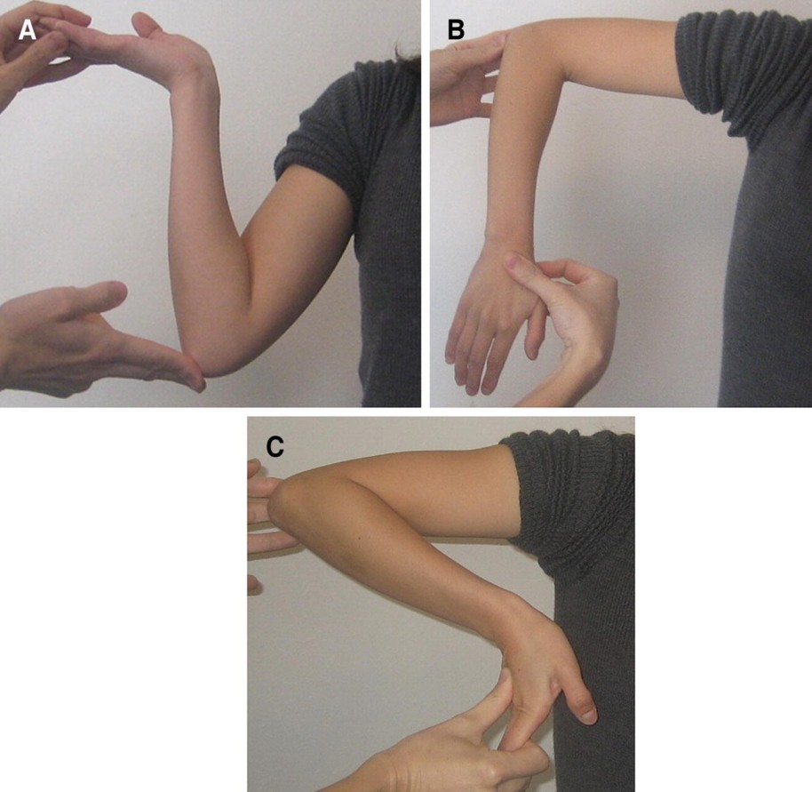 shoulder internal [ medial ] rotation elbow flexion test.